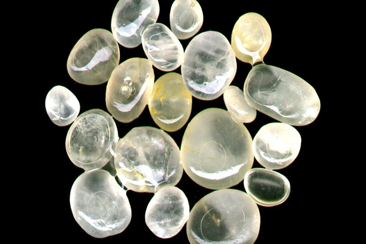 About twenty translucent quartz pebbles of different sizes, tumble-polished, photographed on a black background.