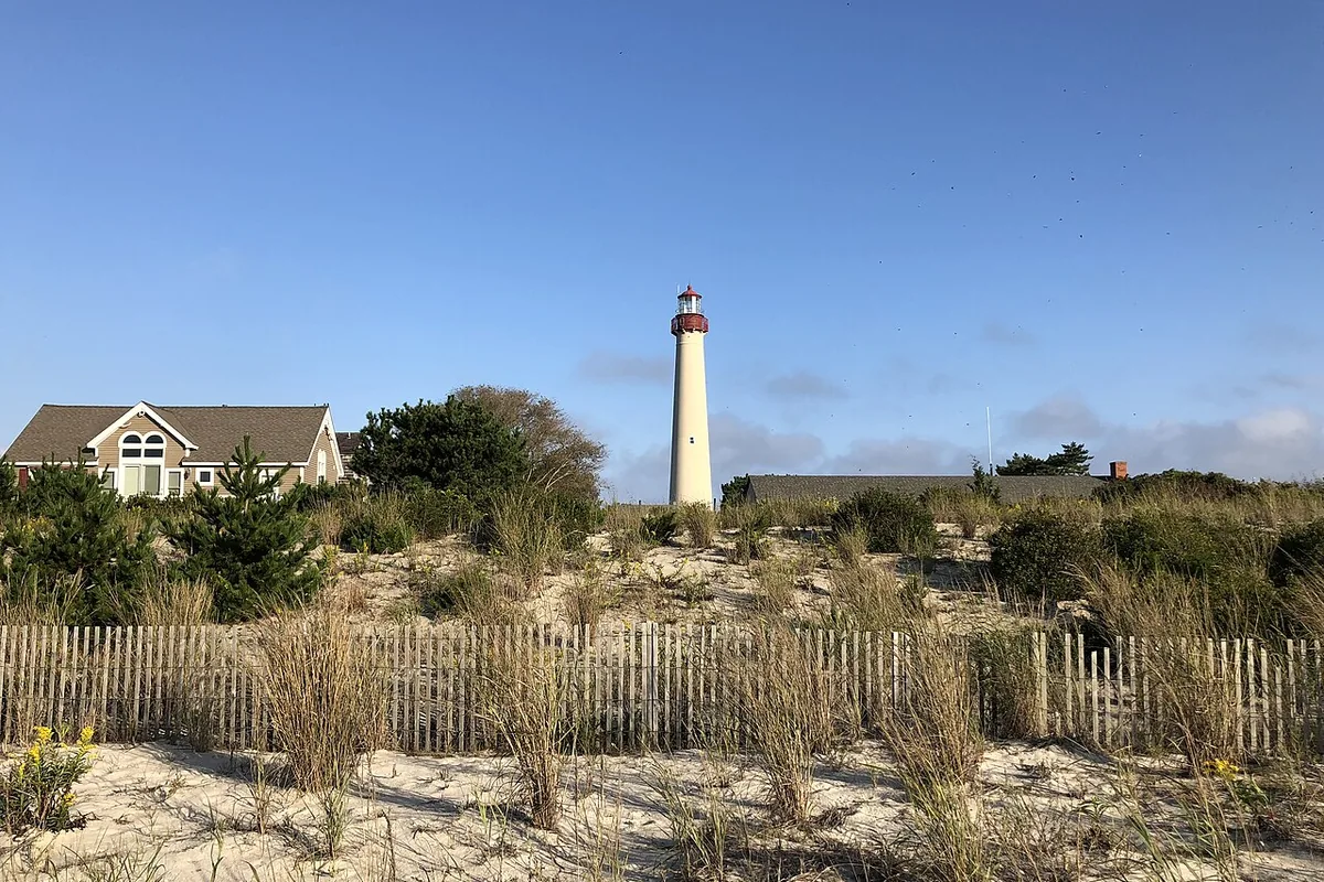 The Cape May Lighthouse rising above dune fencing and beach grass at Cape May Point State Park, under a clear blue sky.