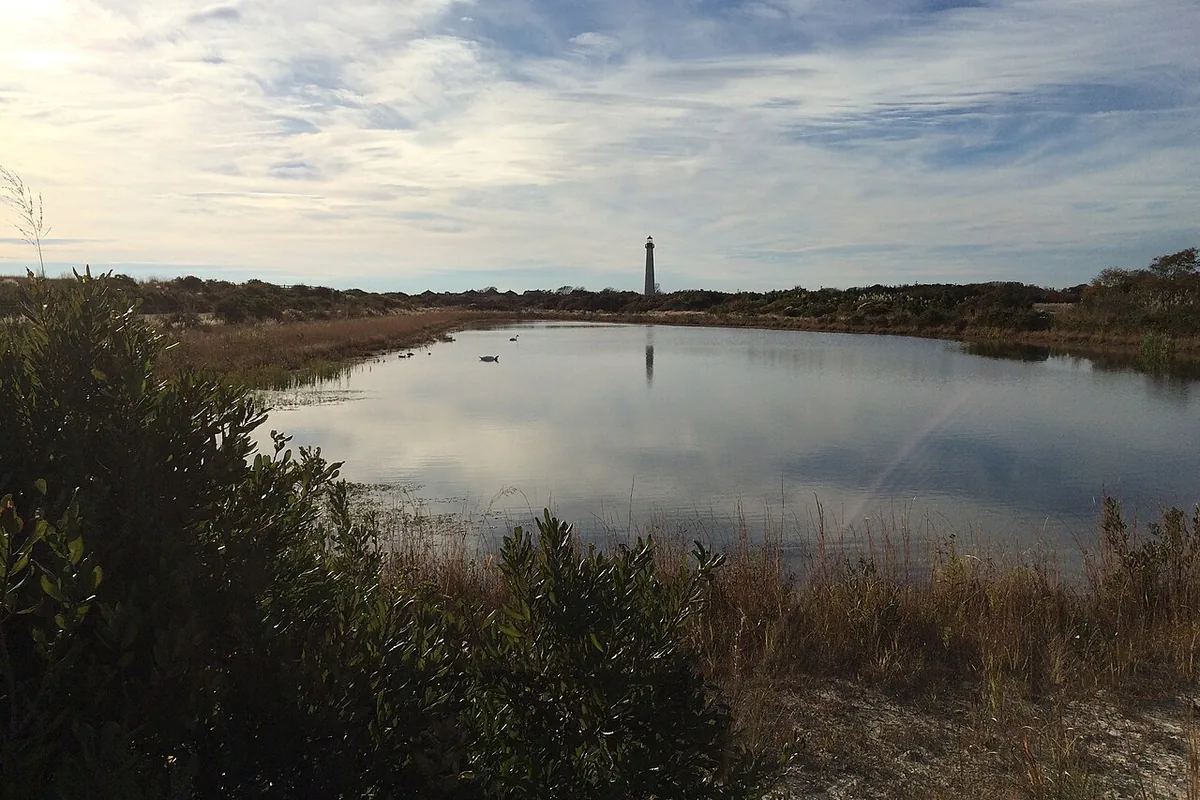 A freshwater pond at Cape May Point State Park with marsh grass around it and the Cape May Lighthouse small on the horizon.