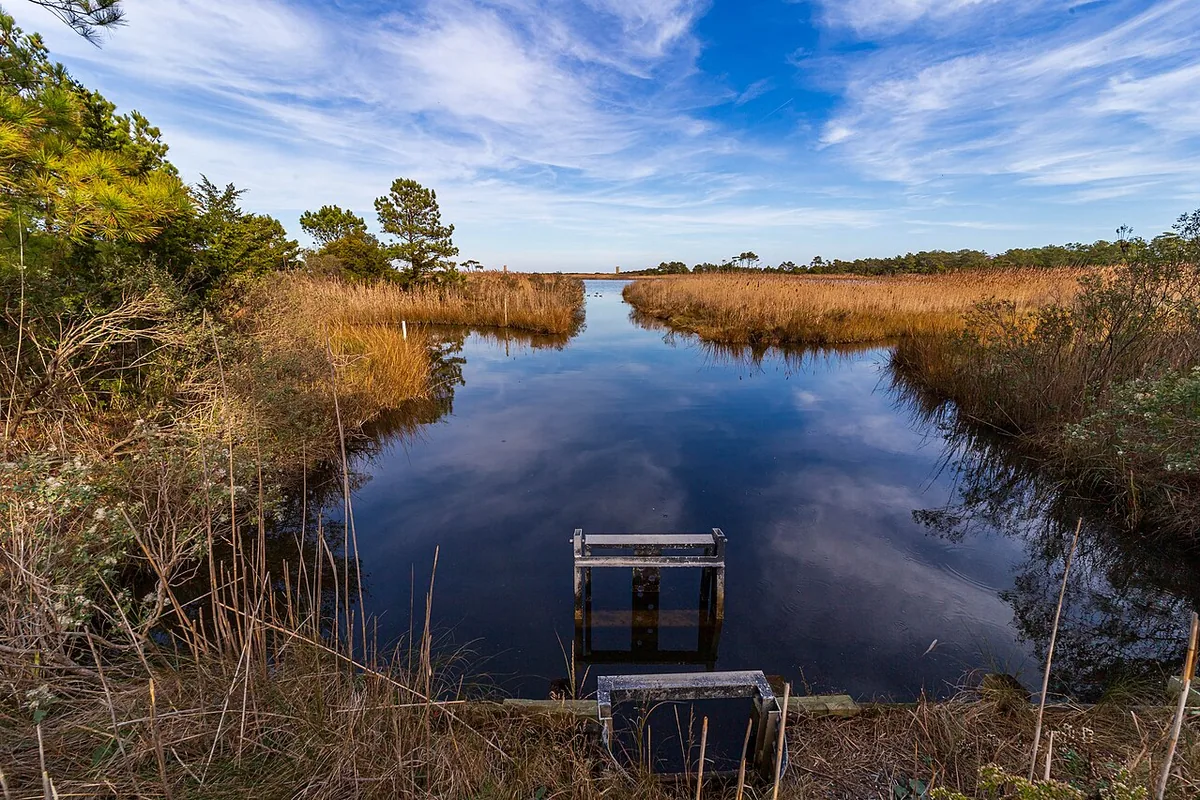 The Gordons Pond lagoon and its canal sluice gate seen from the Gordons Pond Trail, with marsh grass on both banks.