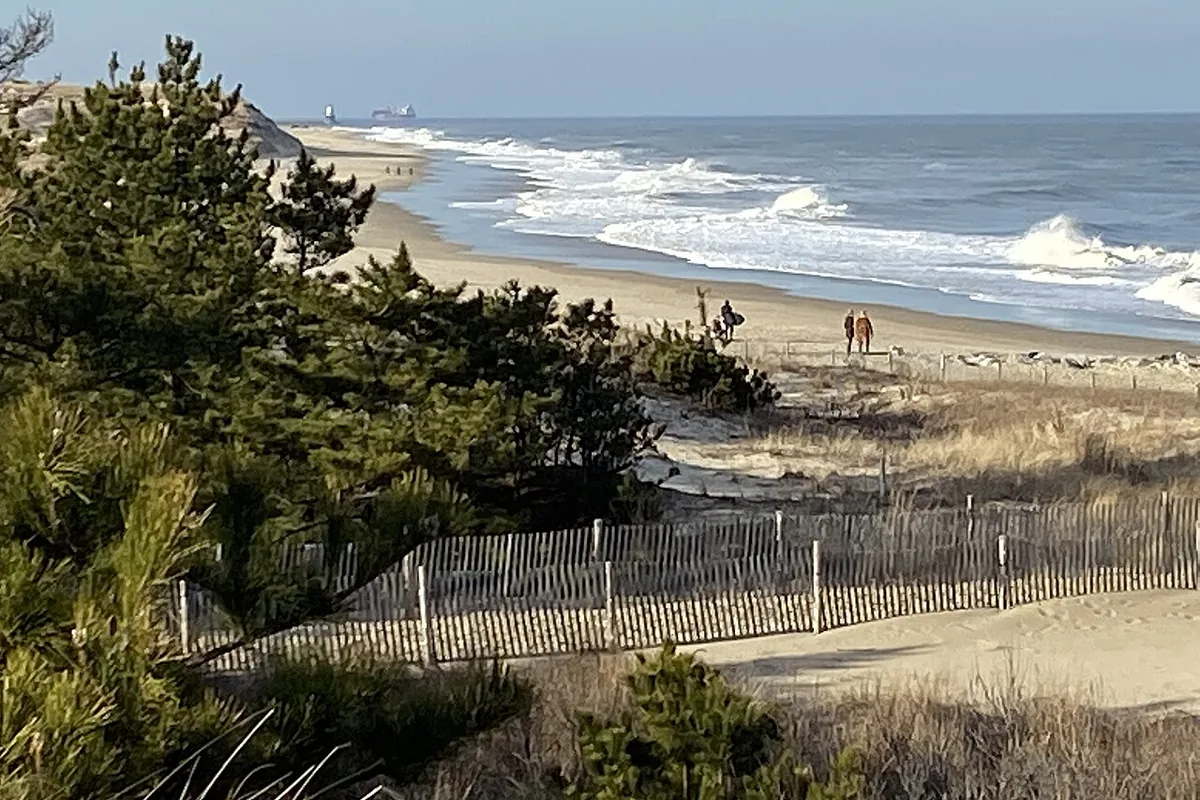 The view from the Herring Point overlook at Cape Henlopen State Park, over a dune fence to the surf and open beach below.