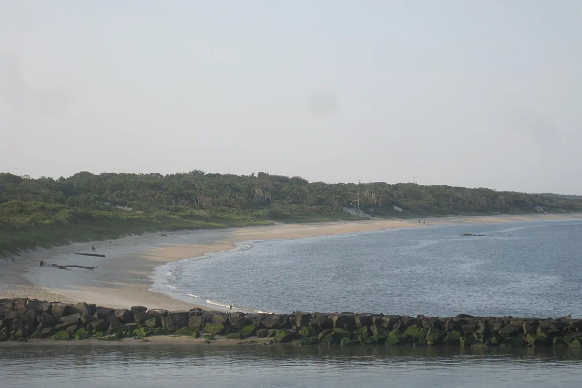 The curving Delaware Bay shoreline at Higbee Beach Wildlife Management Area, with a wooded bluff behind the sand.